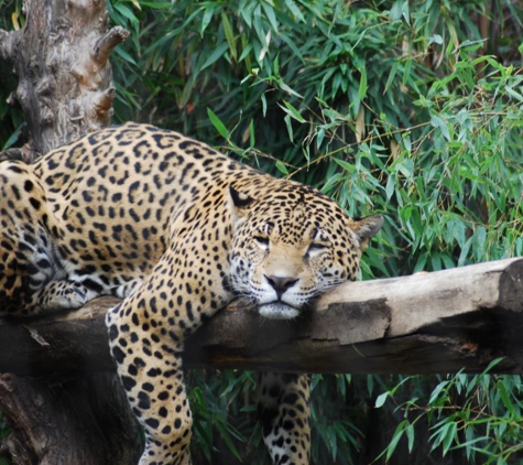 Sacramento Zoo - Sacramento, CA