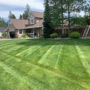 All Out Lawn & Landscaping