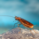 B & S Pest Control Co Inc - Pest Control Equipment & Supplies