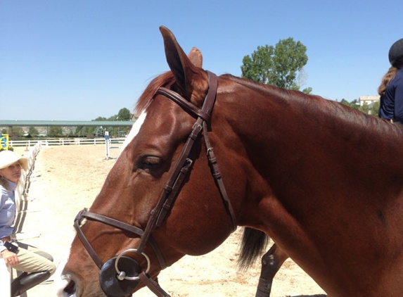 Serenity Farm Show Stables - Elizabeth, CO