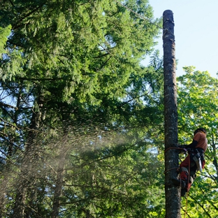 Joles Tree Service - Baton Rouge, LA