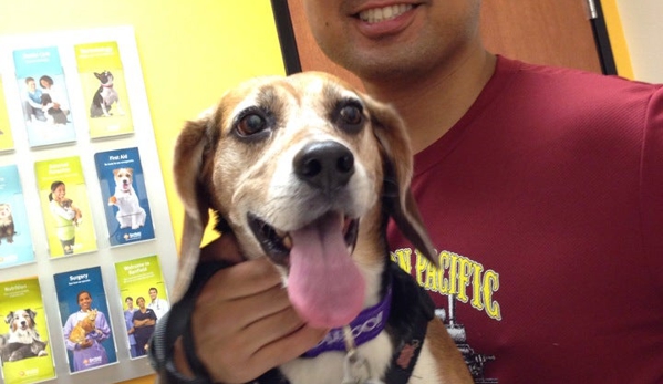 Banfield Pet Hospital - San Jose, CA