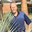 DIY Palm Tree Consulting