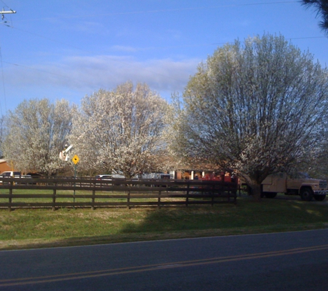 Central Tree Service - Burlington, NC