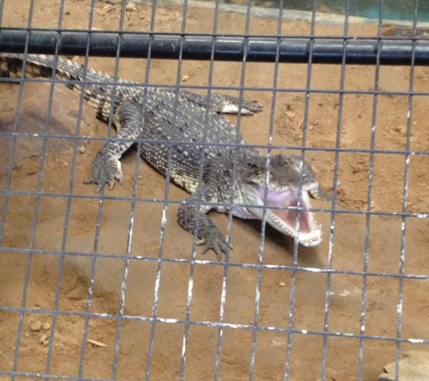 Reptile Lagoon - Hamer, SC