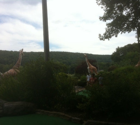 Safari Golf - Berlin, CT