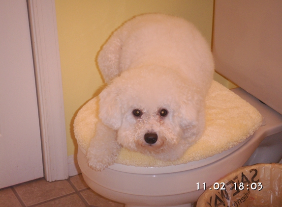 Happy Dog Grooming Salon, Inc - Mount Airy, MD