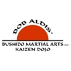 Bob Aldis' Bushido Martial Arts Inc gallery
