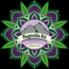 Magnolia Road Cannabis Co. gallery