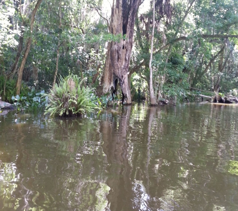 Kayaking Florida Waters - Leesburg, FL