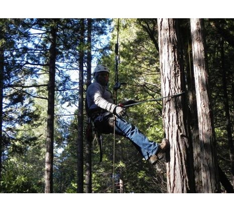 A & J Tree Service - Goleta, CA