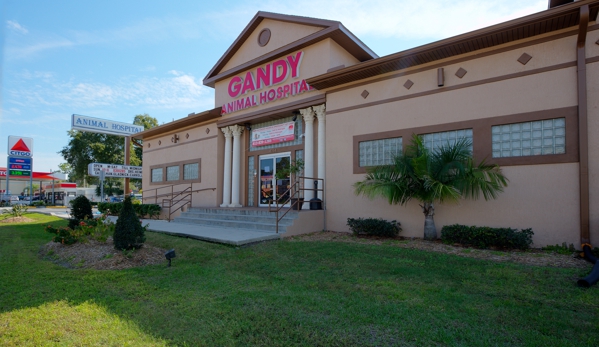 Gandy Animal Hospital, Inc. - Tampa, FL
