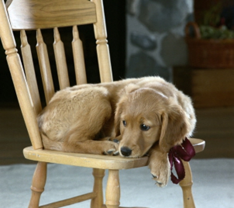 Central Ky Veterinary Center - Georgetown, KY