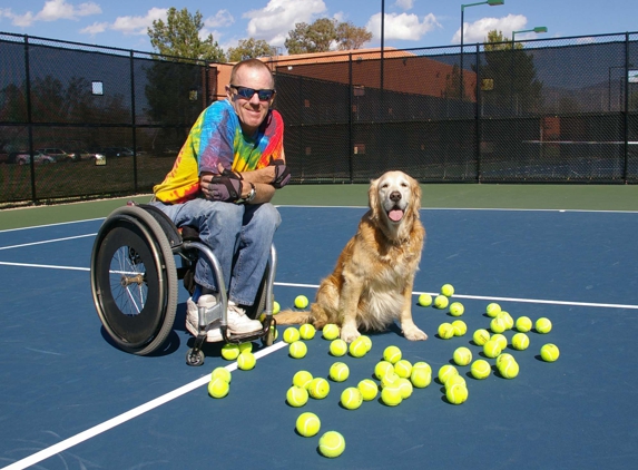 Top Dog Training Program - Tucson, AZ