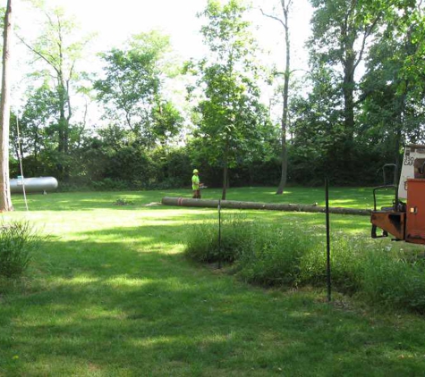 AAA Tree Service - Granville, IL