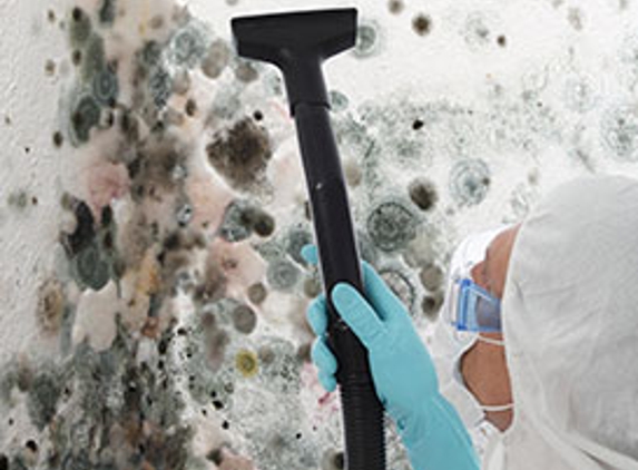 Mold Removal Express - Boulder, CO