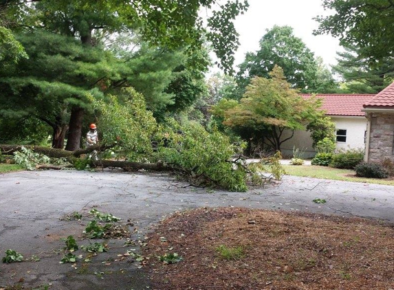 NatureScape Tree Service, LLC - Hellertown, PA