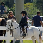 Equines & Equestrians, Inc.
