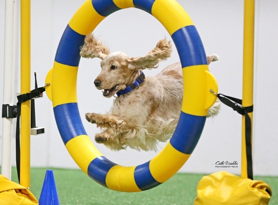 Cleveland All-Breed Training Club Inc. - Independence, OH. Agility Training at it's best!