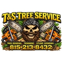 T&S Tree Service - Tree Service