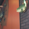 Tasty Tails Seafood House gallery