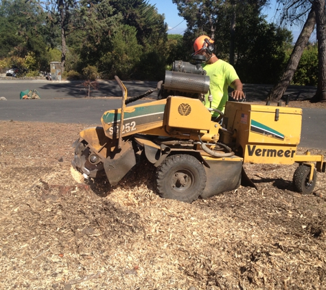 JM Garcia Masonry - San Jose, CA