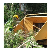 Gallery Image Number 2