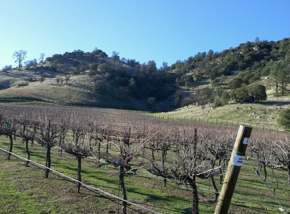 Souza Family Vineyard - Tehachapi, CA