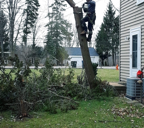 Dannys Tree Service LLC - Cleveland, OH