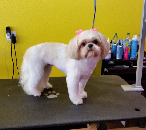 Best in Show Dog Grooming - Brookings, OR