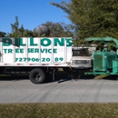 Dillon's Tree Service - Tree Service