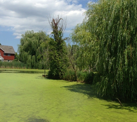 Dodge Nature Center Preschool - Saint Paul, MN