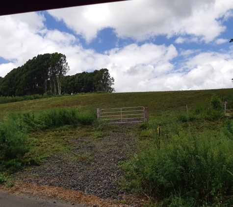 Alstonville Slashing Service - Lennox Head, NSW