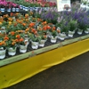 Cornelius Nurseries Inc gallery