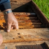 EcoGen Pest Control gallery