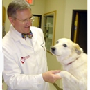 Eberle Animal Hospital - Veterinarians