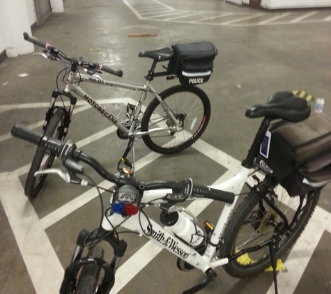 Armed Security On Bikes - Houston, TX