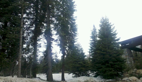 Wuksachi Lodge - Sequoia National Park, CA