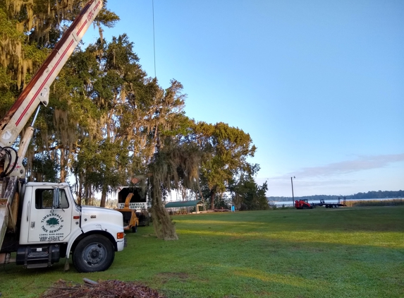 Timberfalls Tree Service - Pomona Park, FL