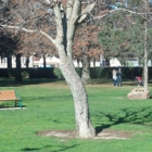 Washington Park