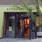 Anthropologie