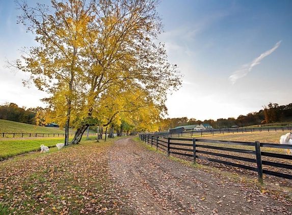 Winding Creek Stable - Kingston, TN