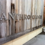 Anthropologie