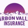 Carbon Valley Agency gallery