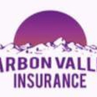 Carbon Valley Agency