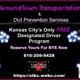 Around Town Designated Driver Services