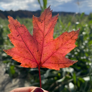 Craven Farm Inc. - Snohomish, WA