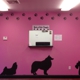 Rub-A-Dub Doggie Dog Grooming