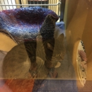 PetSmart - Pet Stores