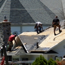 All Season's Roofing & Contacting - Termite Control